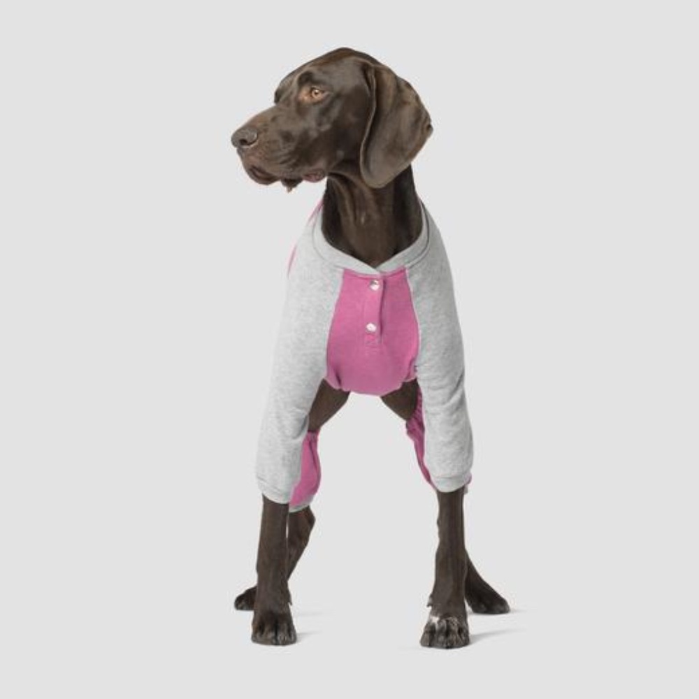 Canada Pooch Frosty Fleece Dog Sweat Suit